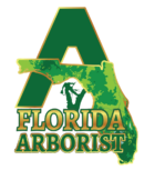 A Florida Arborist – Ocala, Florida