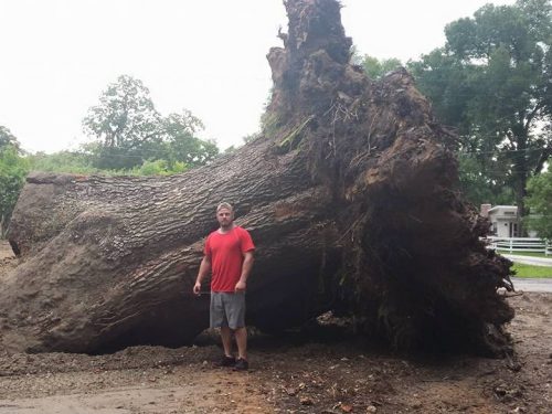 11891050_712695658875682_7607101791598984483_n