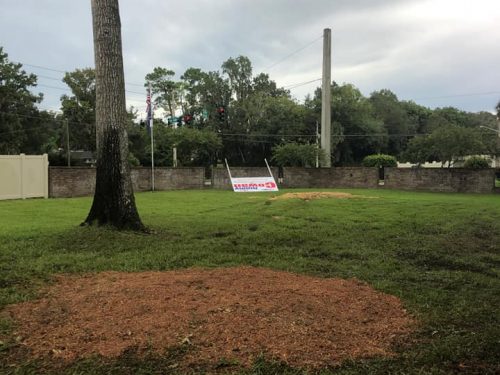 119344245_2177702685708298_88164240549982237_n