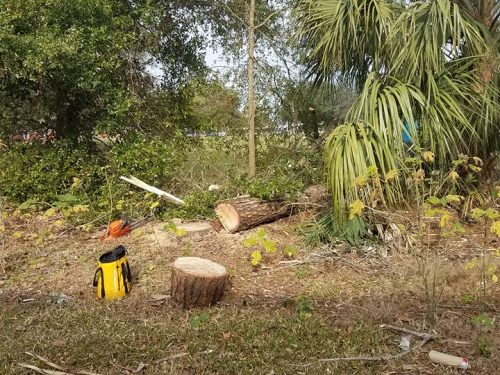 16806795_1047403755404869_7573759186736501076_n