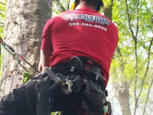 28950867_1316363271842248_2866492832851877538_n