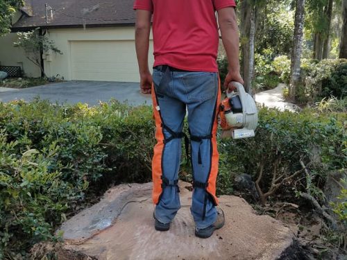 29570706_1333560383455870_8267427610943367056_n