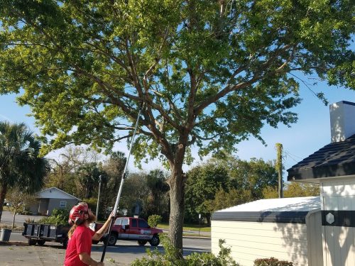 73020562_1835071173304786_1740296382989729792_o