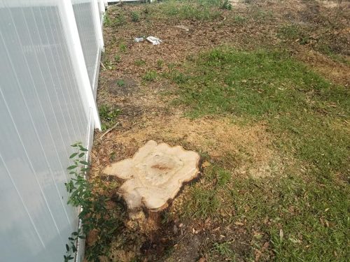 96377270_2045572258921342_6715243687271464960_n