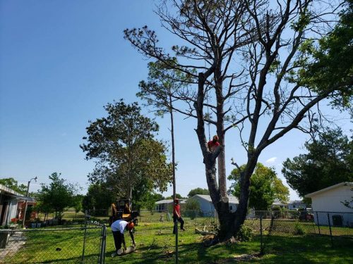 98362722_2059772477501320_3016530702221967360_n