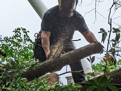 PXL_20220402_145931994