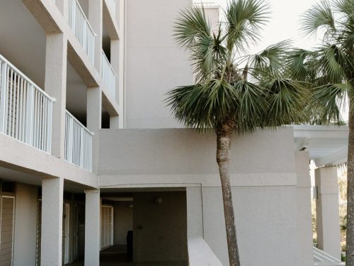 pexels-tara-winstead-8407016 (1)